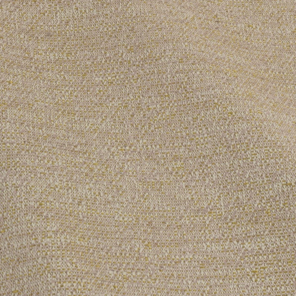 tp1478-003-137.jpg