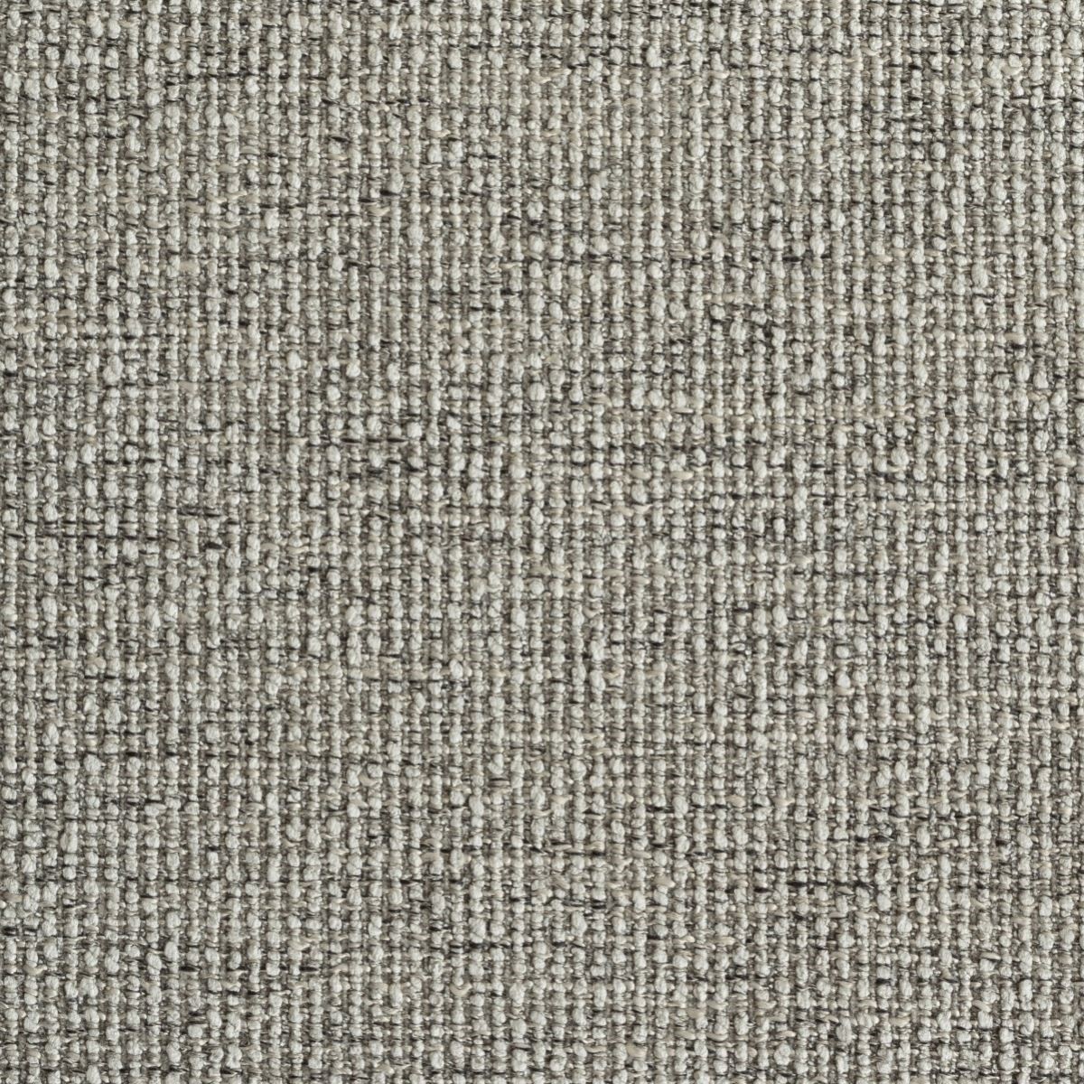 tp1464-009-138.jpg