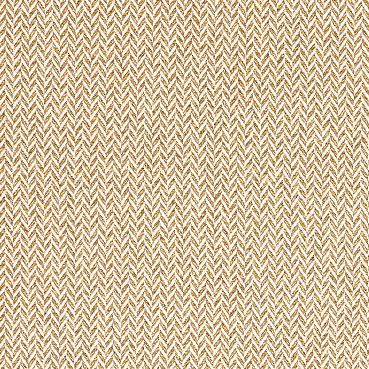 ts7801-001-130.jpg