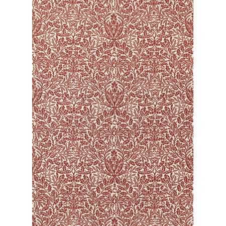 ts7999-002-136.jpg