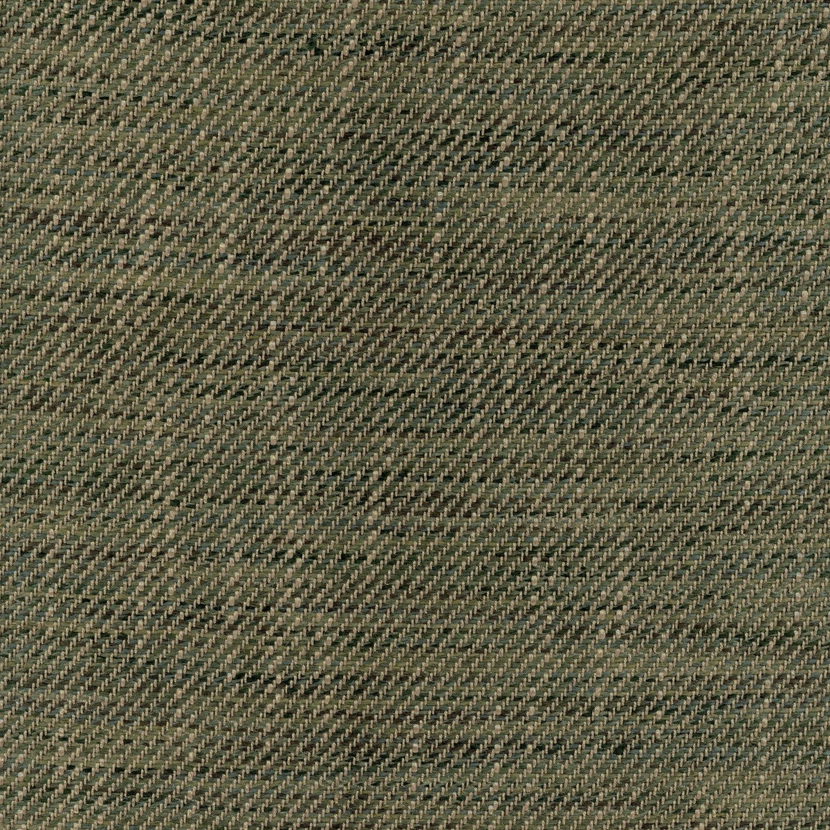 ts8006-001-145.jpg