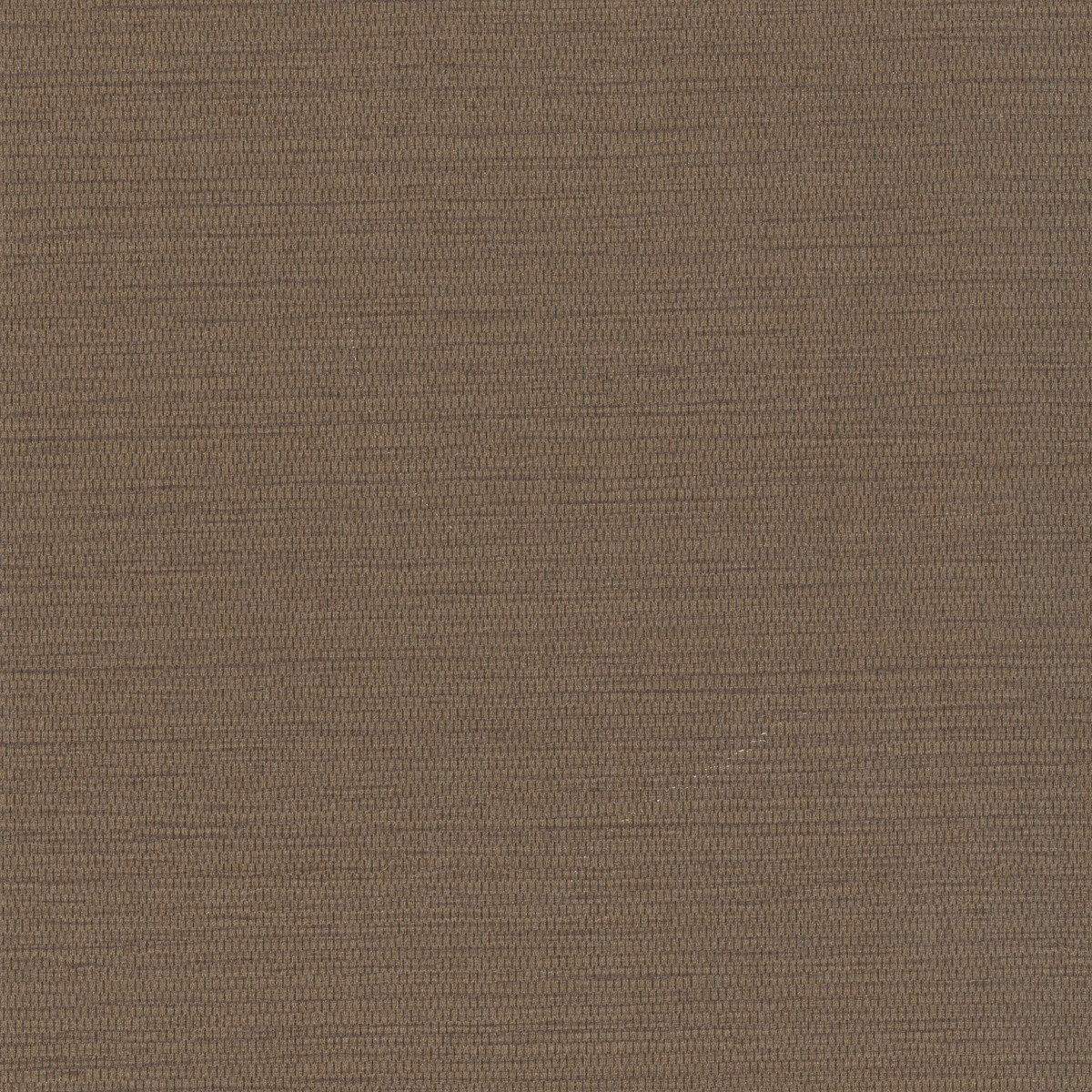pa7648-007-135.jpg