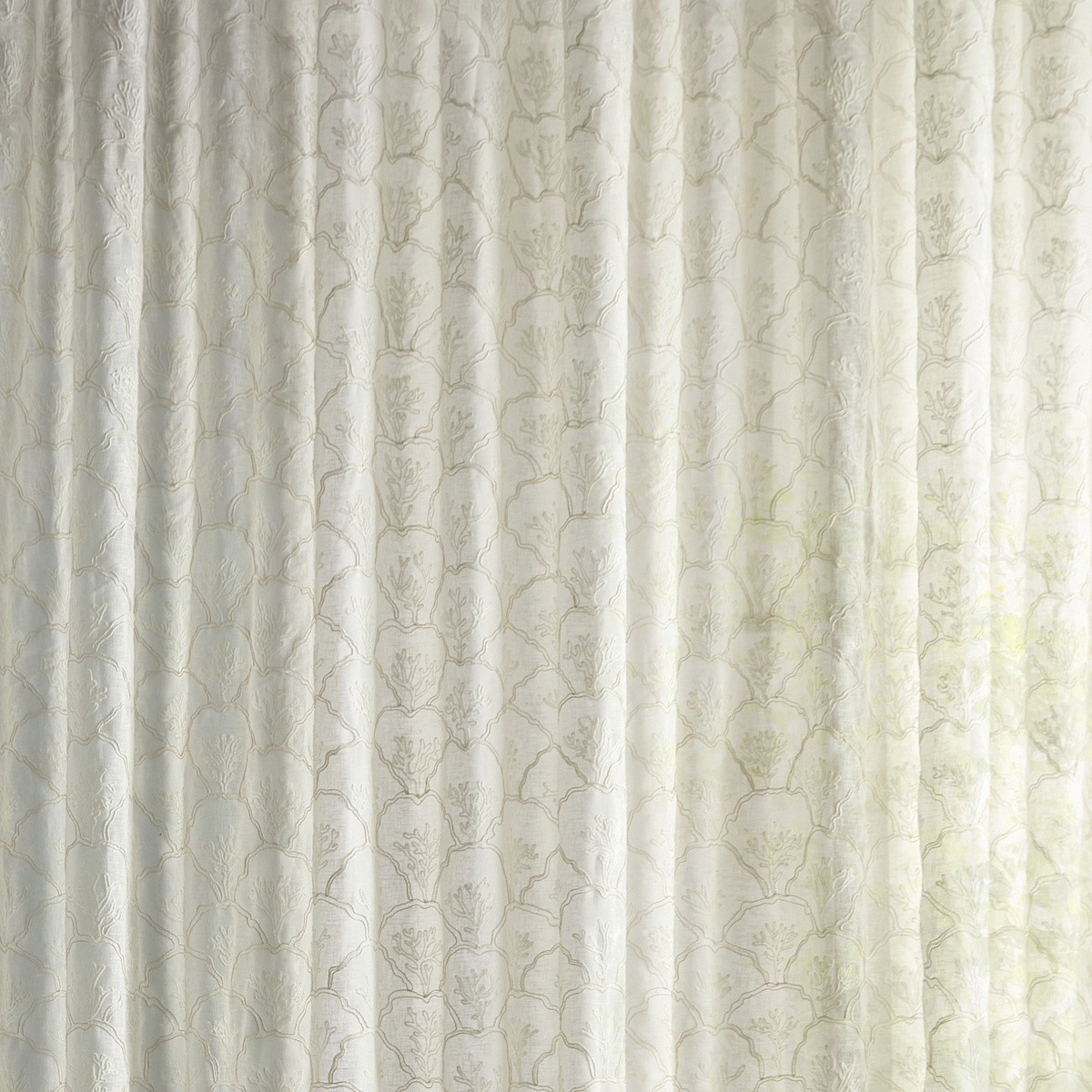 ts8223-099-287.jpg