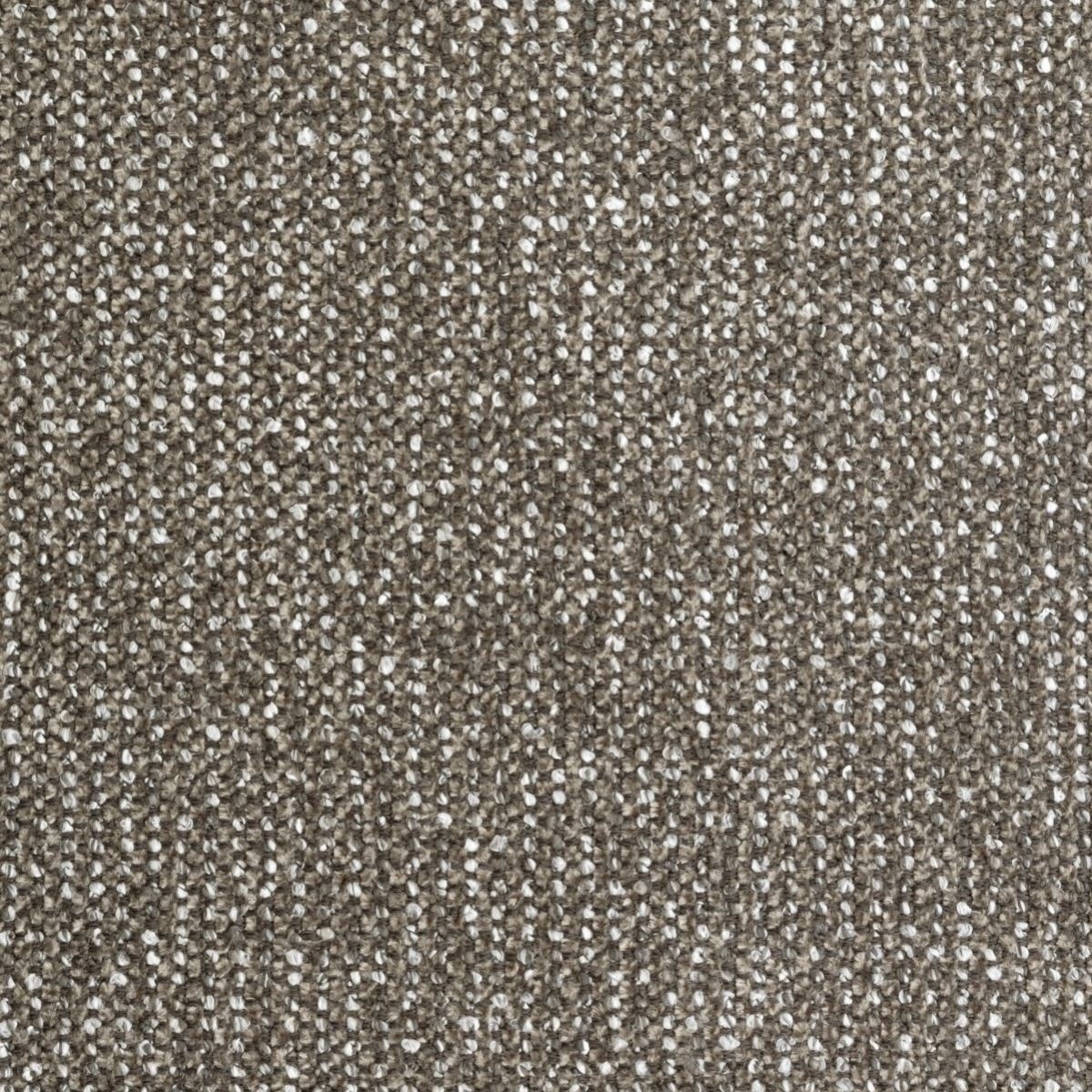 tp1219-007-140.jpg