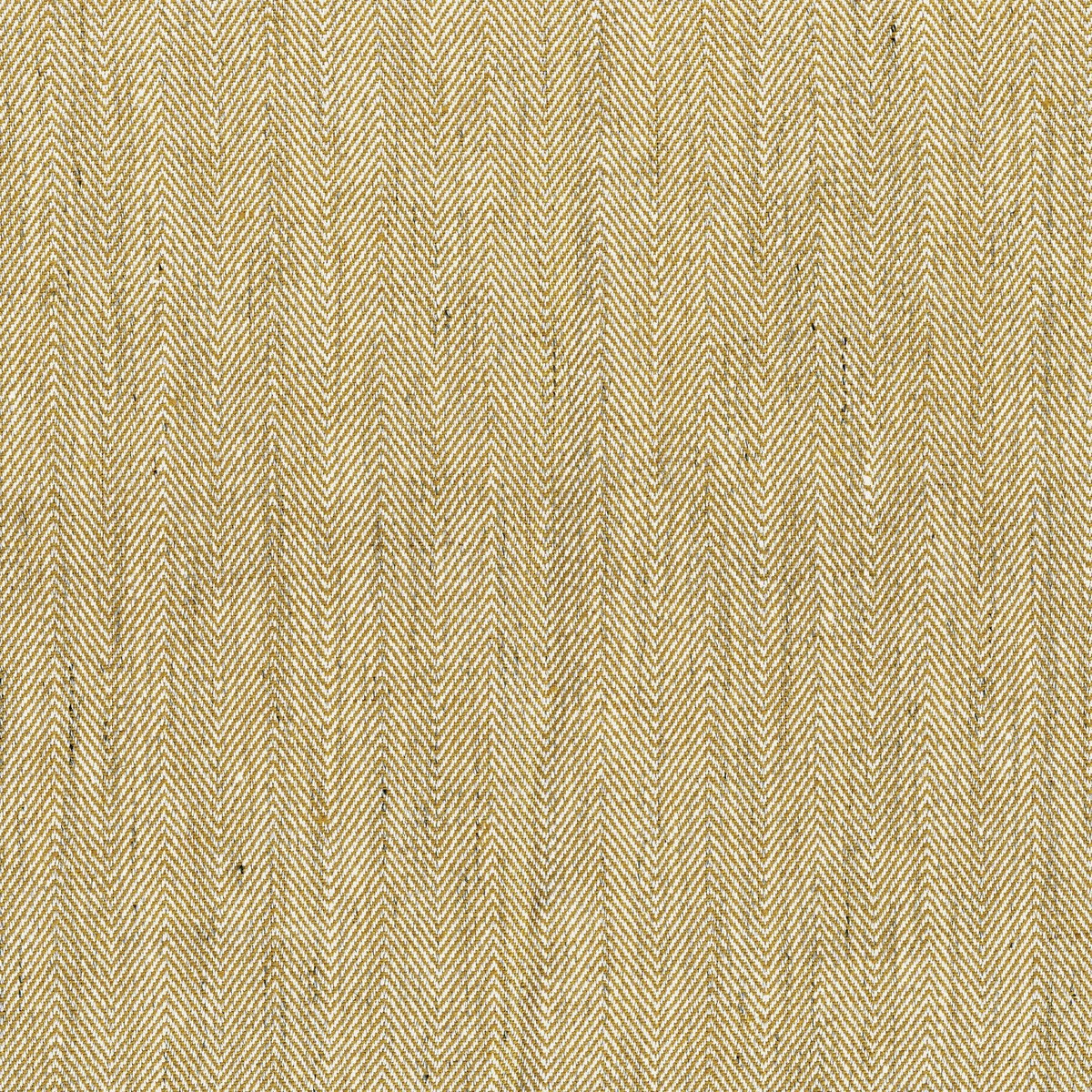 ts8013-001-145.jpg