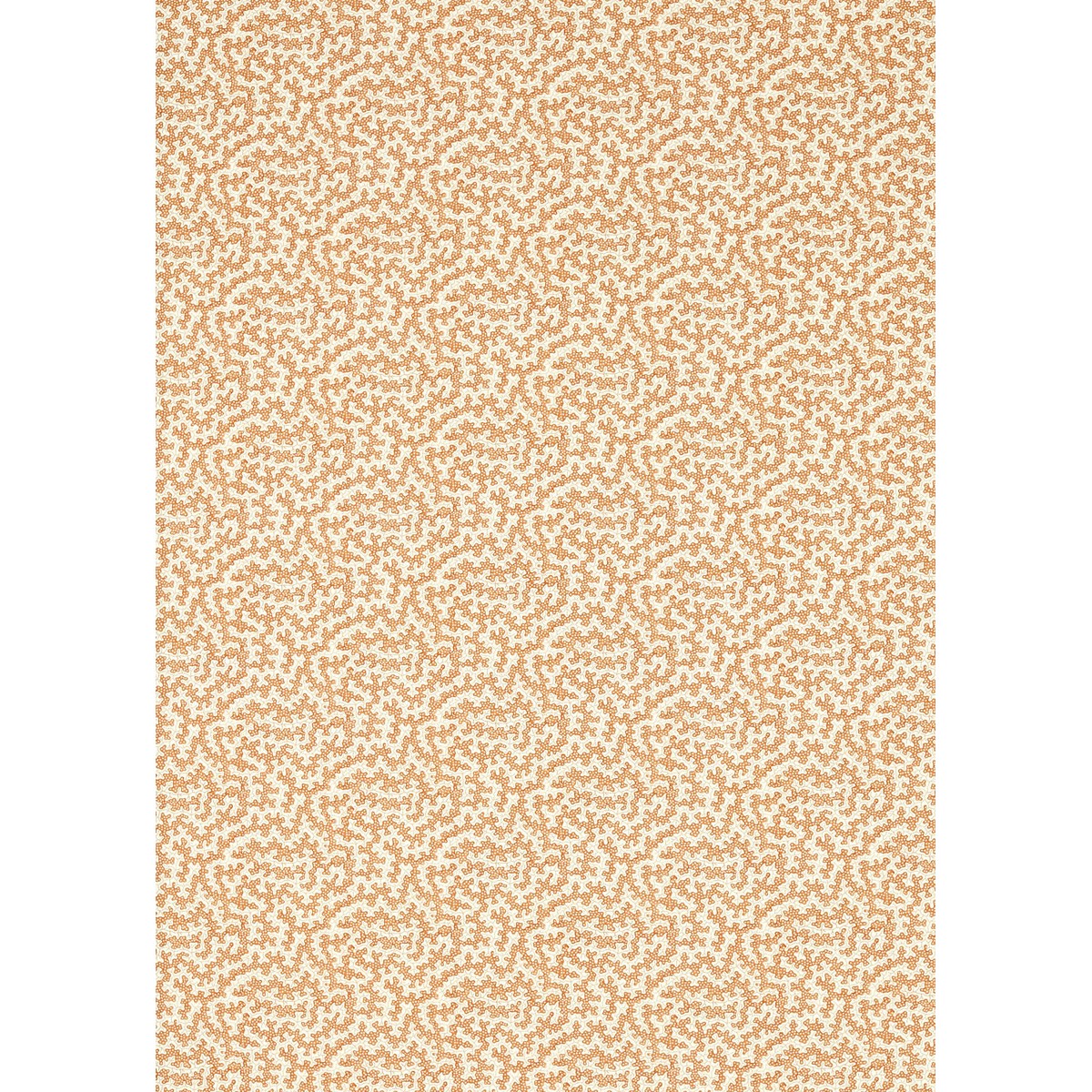 ts7456-001-138.jpg
