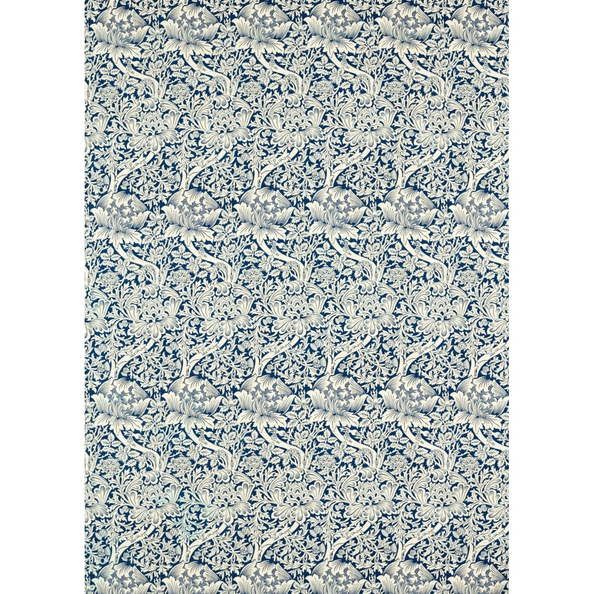 ts6203-099-137.jpg