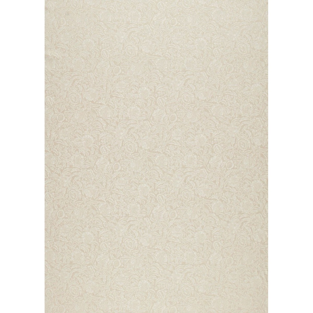 tr5175-099-140.jpg