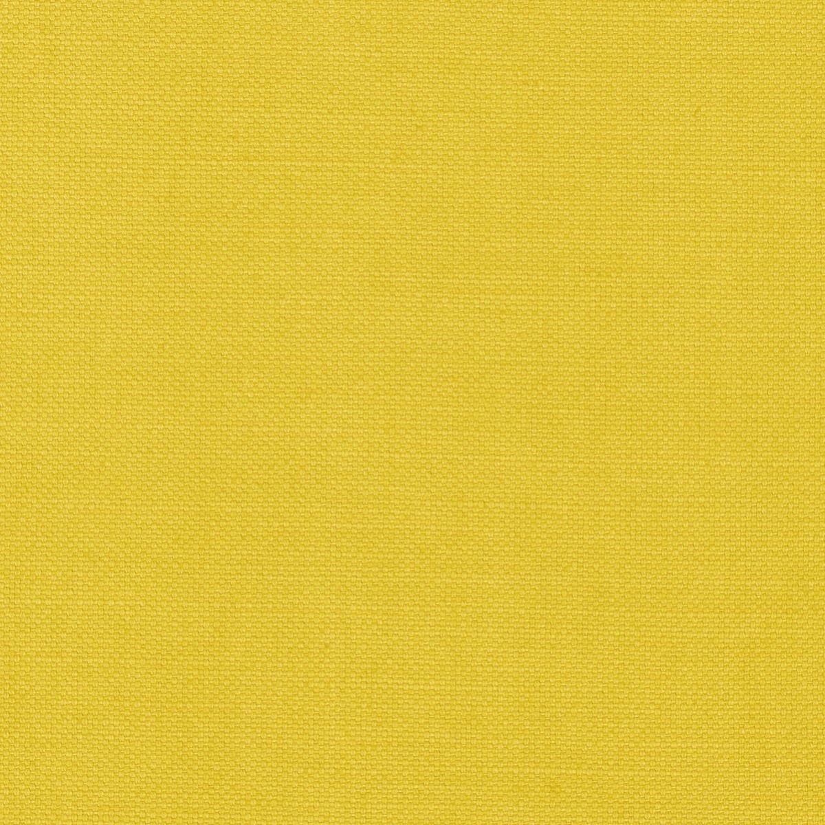tp1153-005-140.jpg