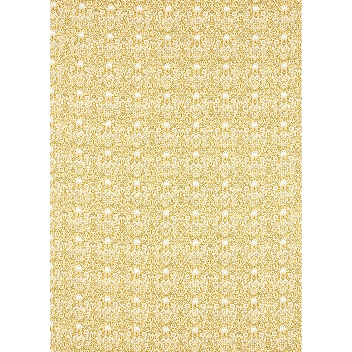 ts6201-099-138.jpg