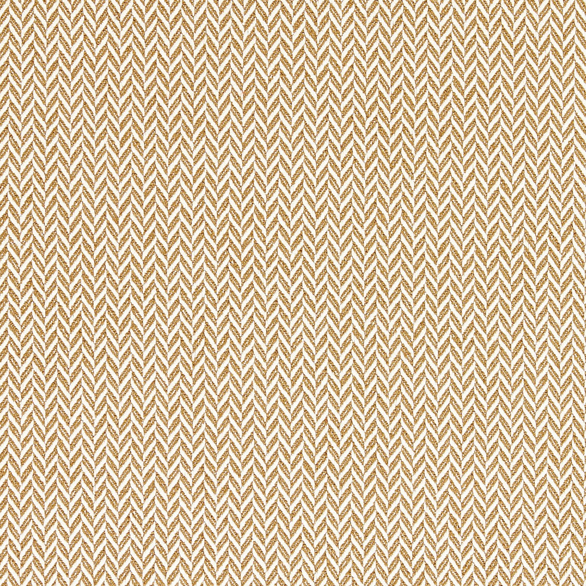 ts7801-001-130.jpg