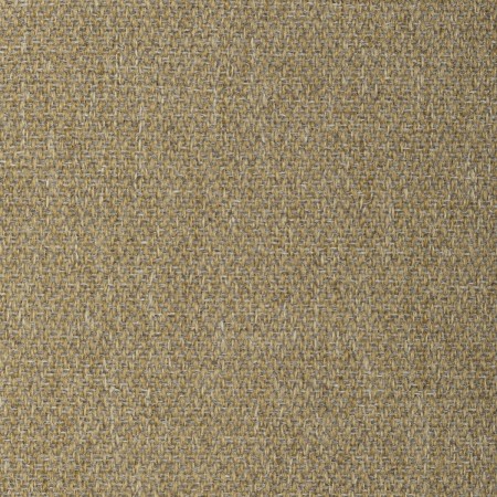 tp1497-005-138.jpg
