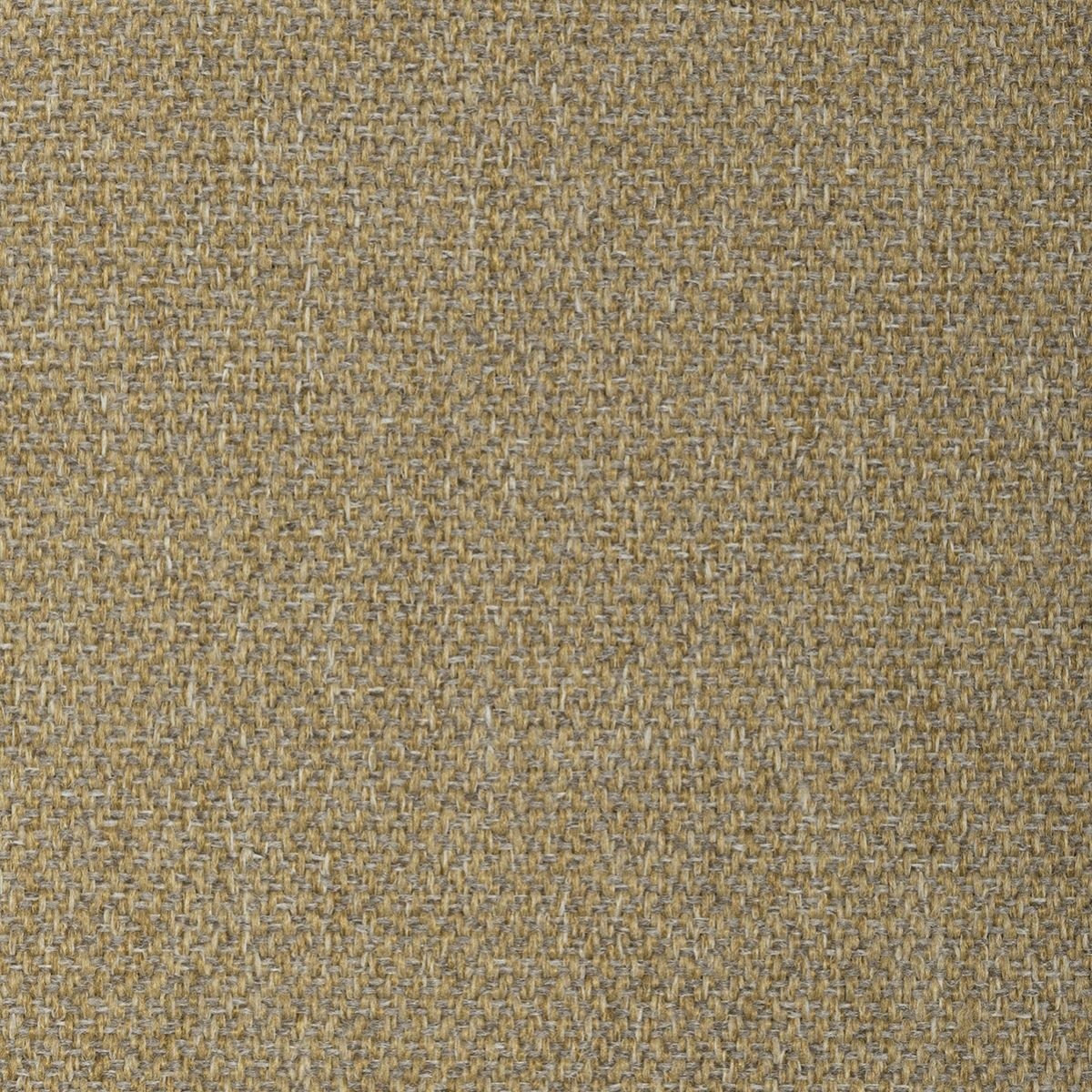 tp1497-005-138.jpg
