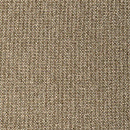 tp1498-005-145.jpg
