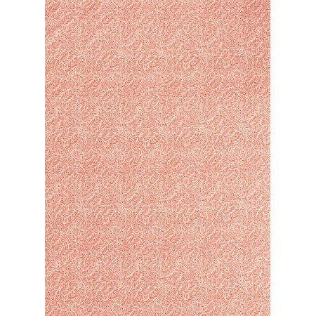ts7268-001-140.jpg