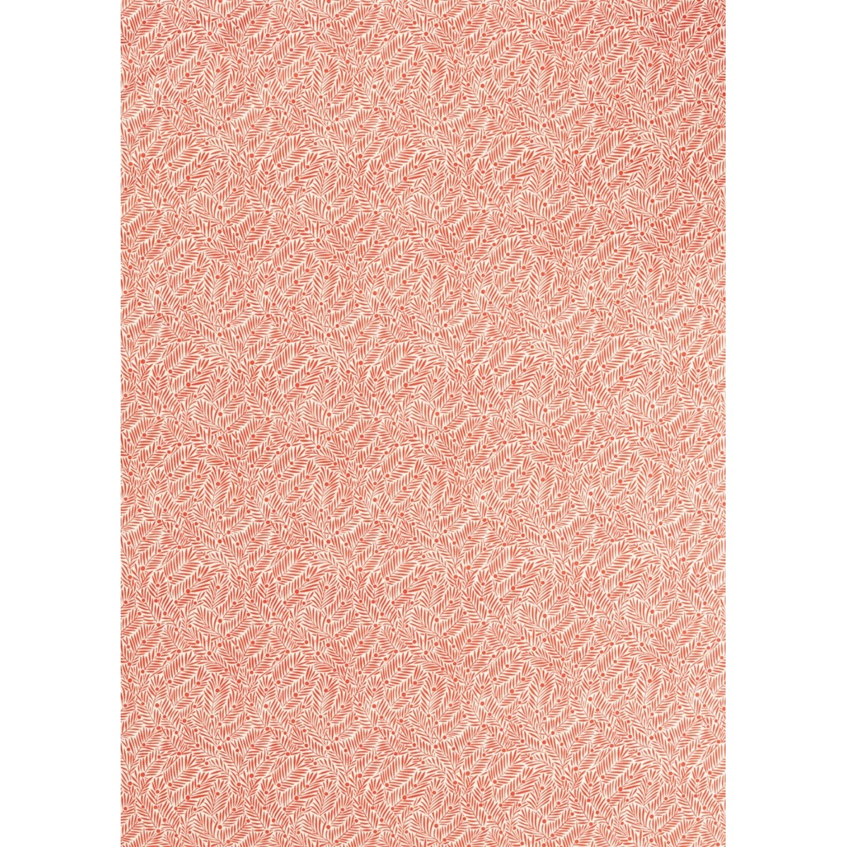 ts7268-001-140.jpg