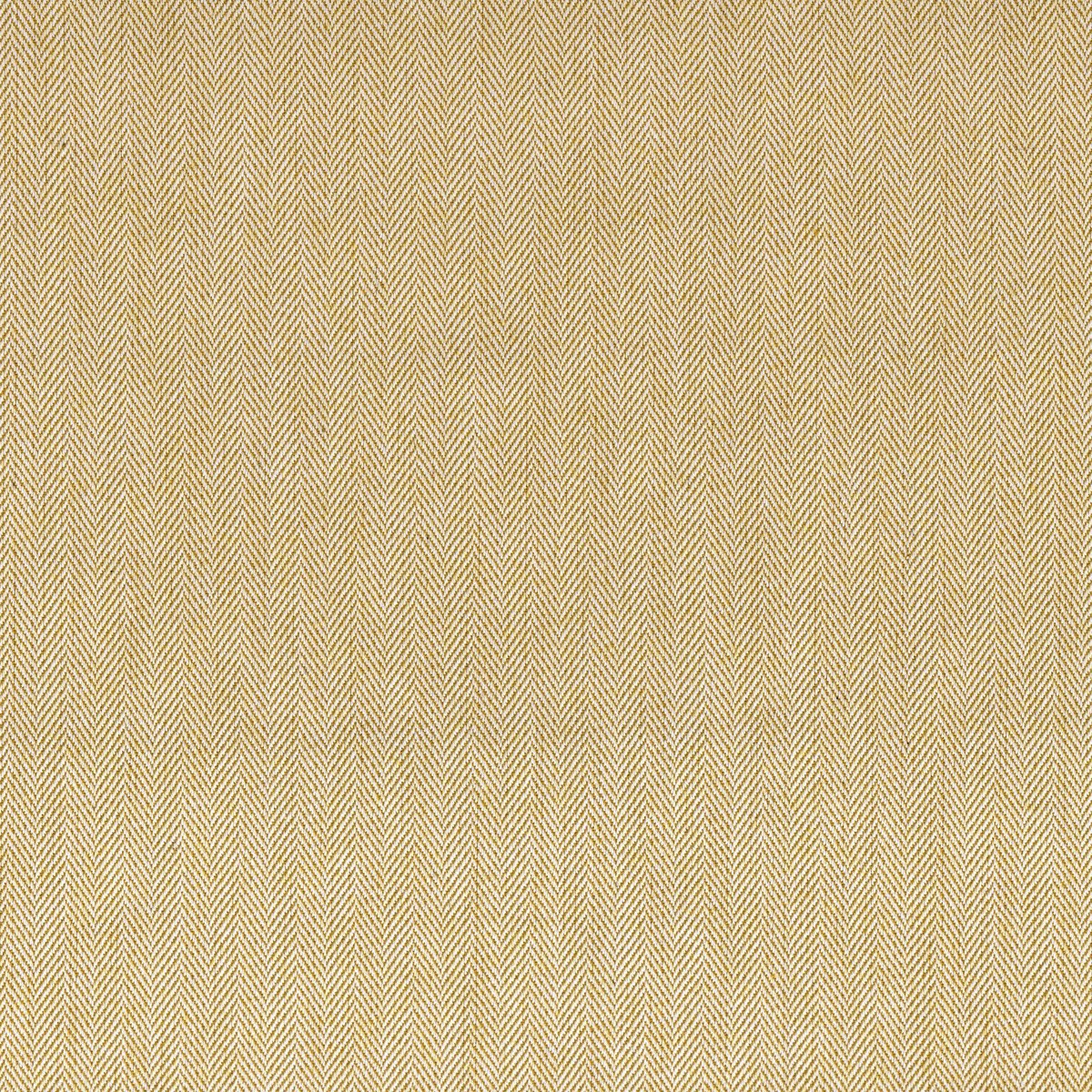 ts7554-017-137_b.jpg