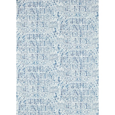 ts6202-099-137.jpg