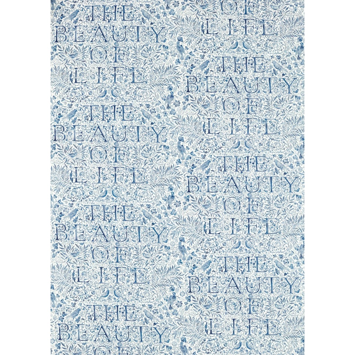 ts6202-099-137.jpg