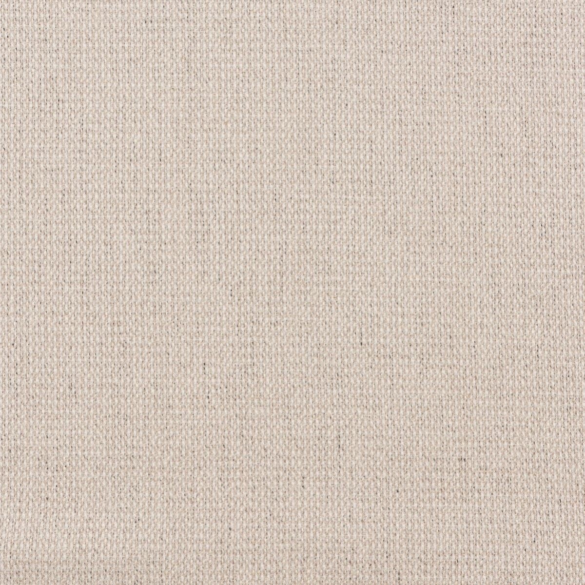 tr9896-099-137.jpg