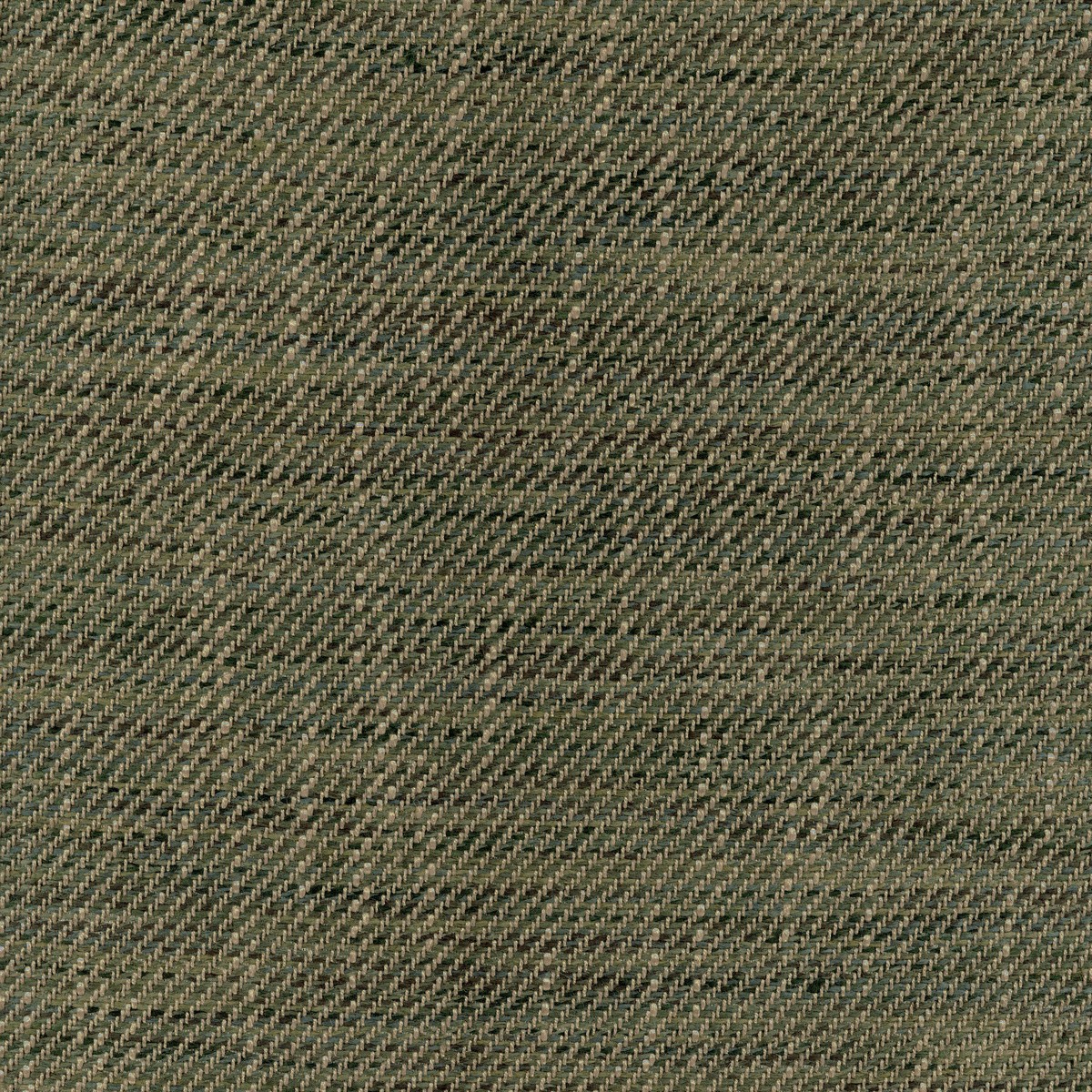ts8006-001-145.jpg