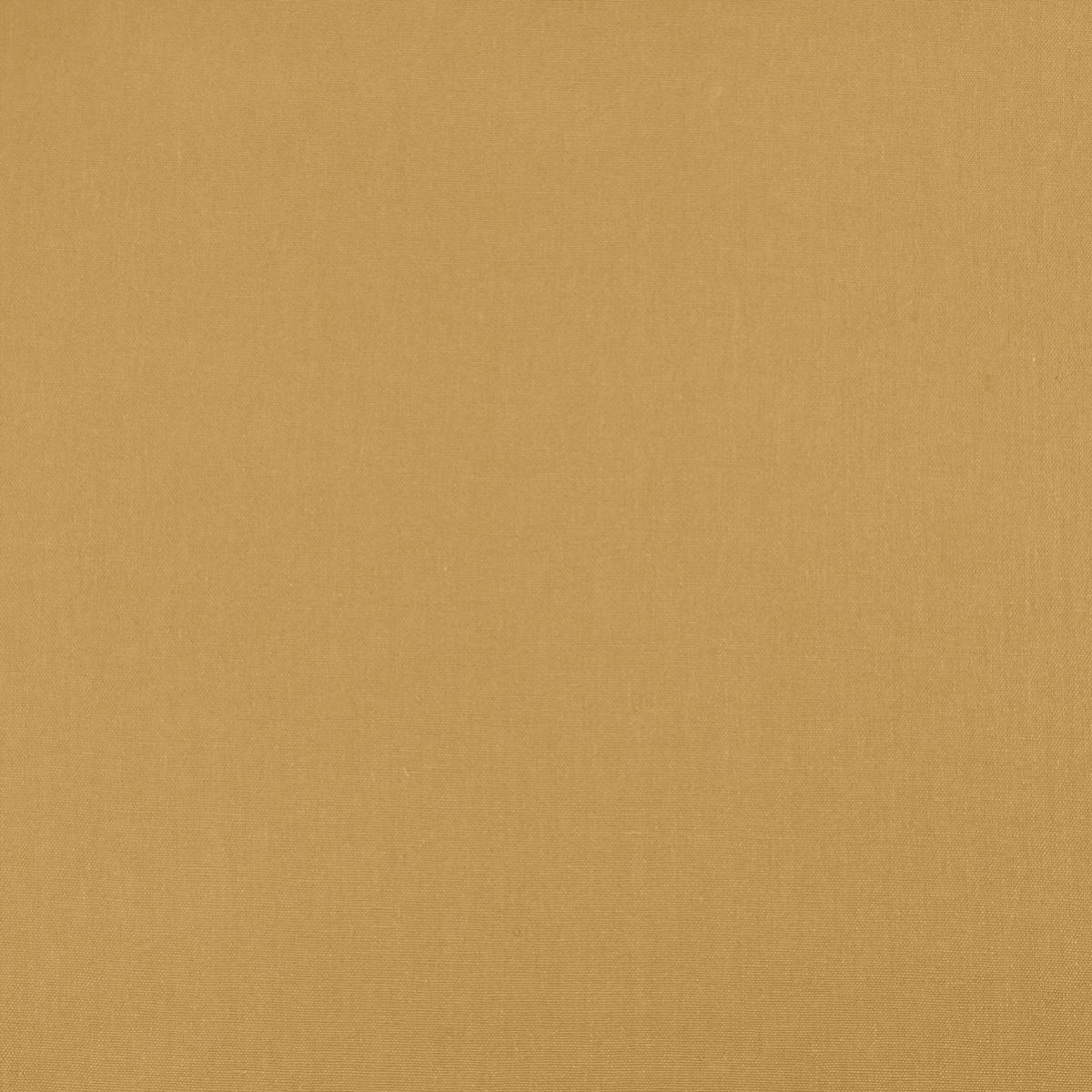 tp1446-005-295.jpg