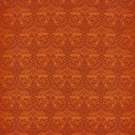 tr9293-001-138.jpg