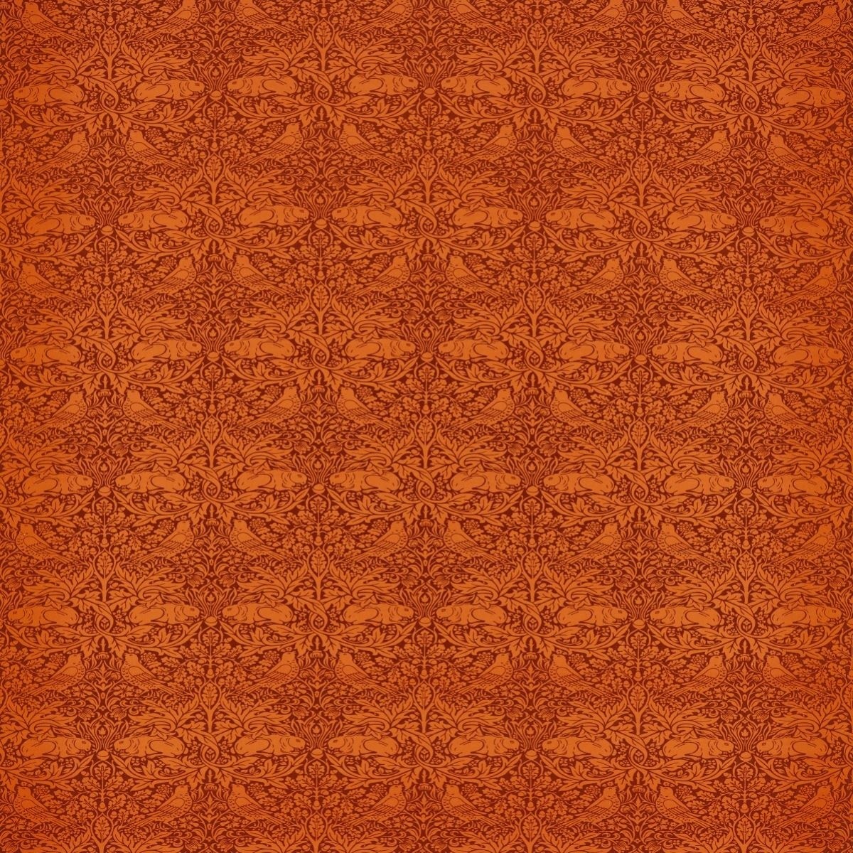 tr9293-001-138.jpg