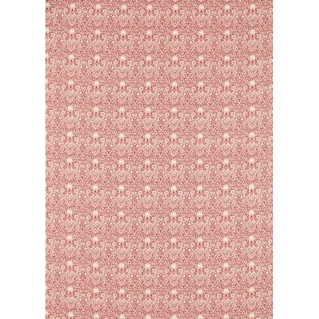 ts6201-002-138.jpg