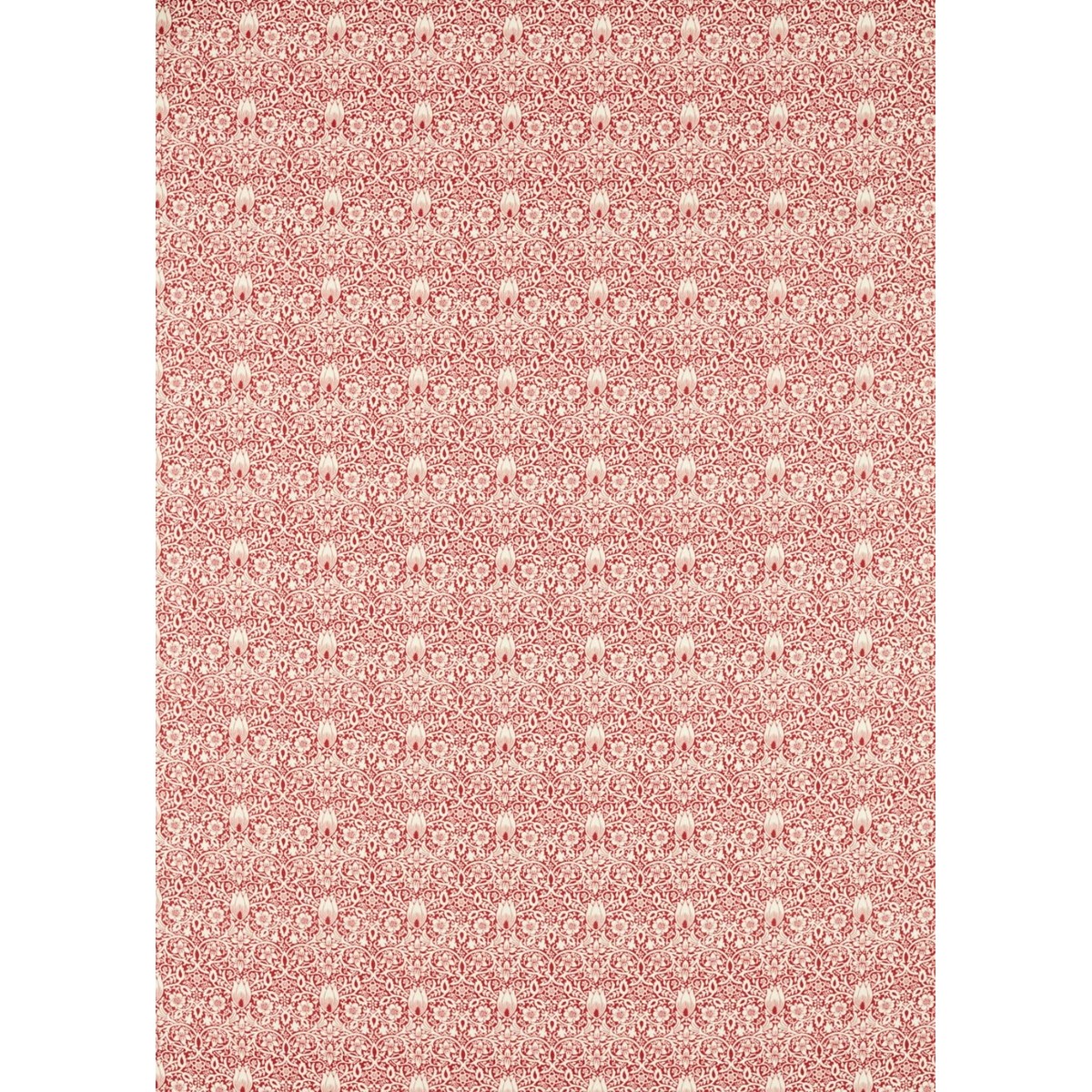 ts6201-002-138.jpg