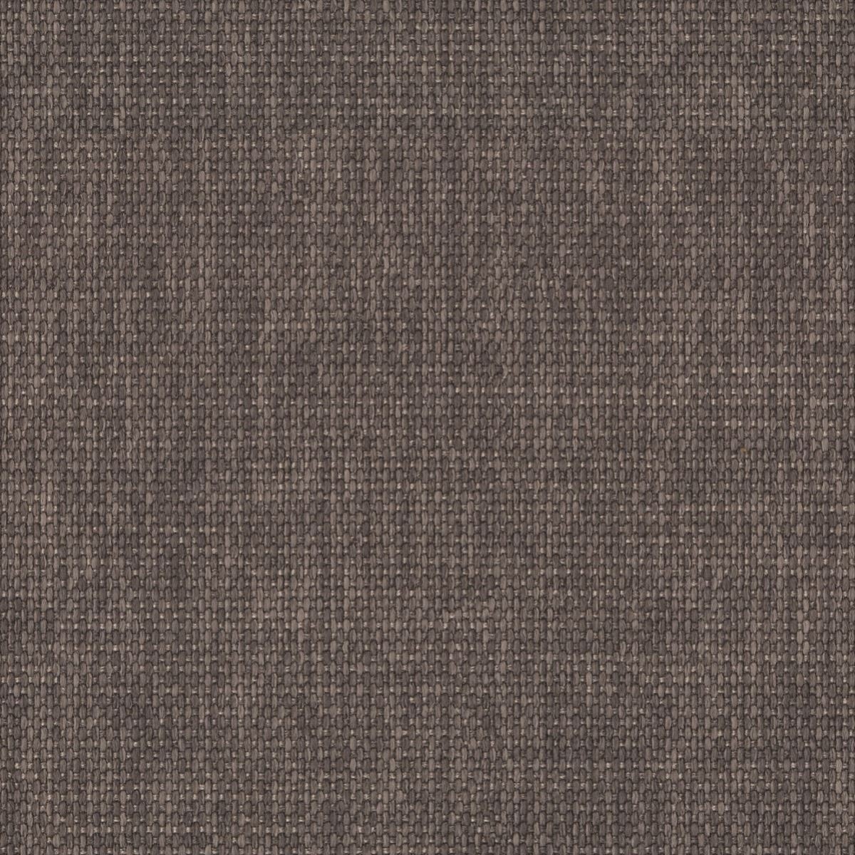 tp1117-007-145.jpg