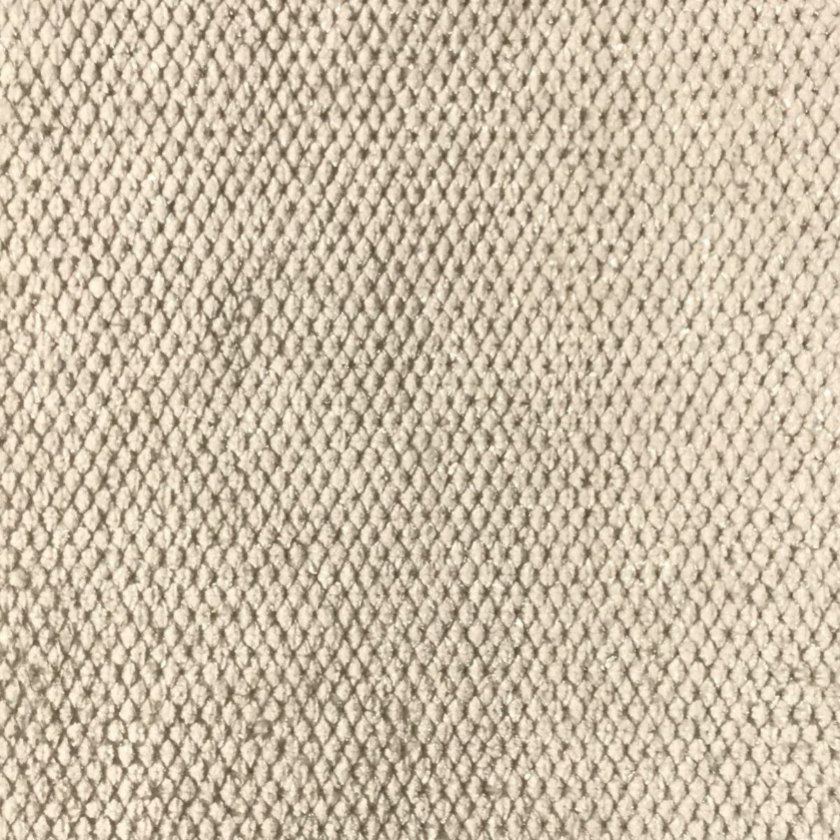 tp1218-000-140.jpg