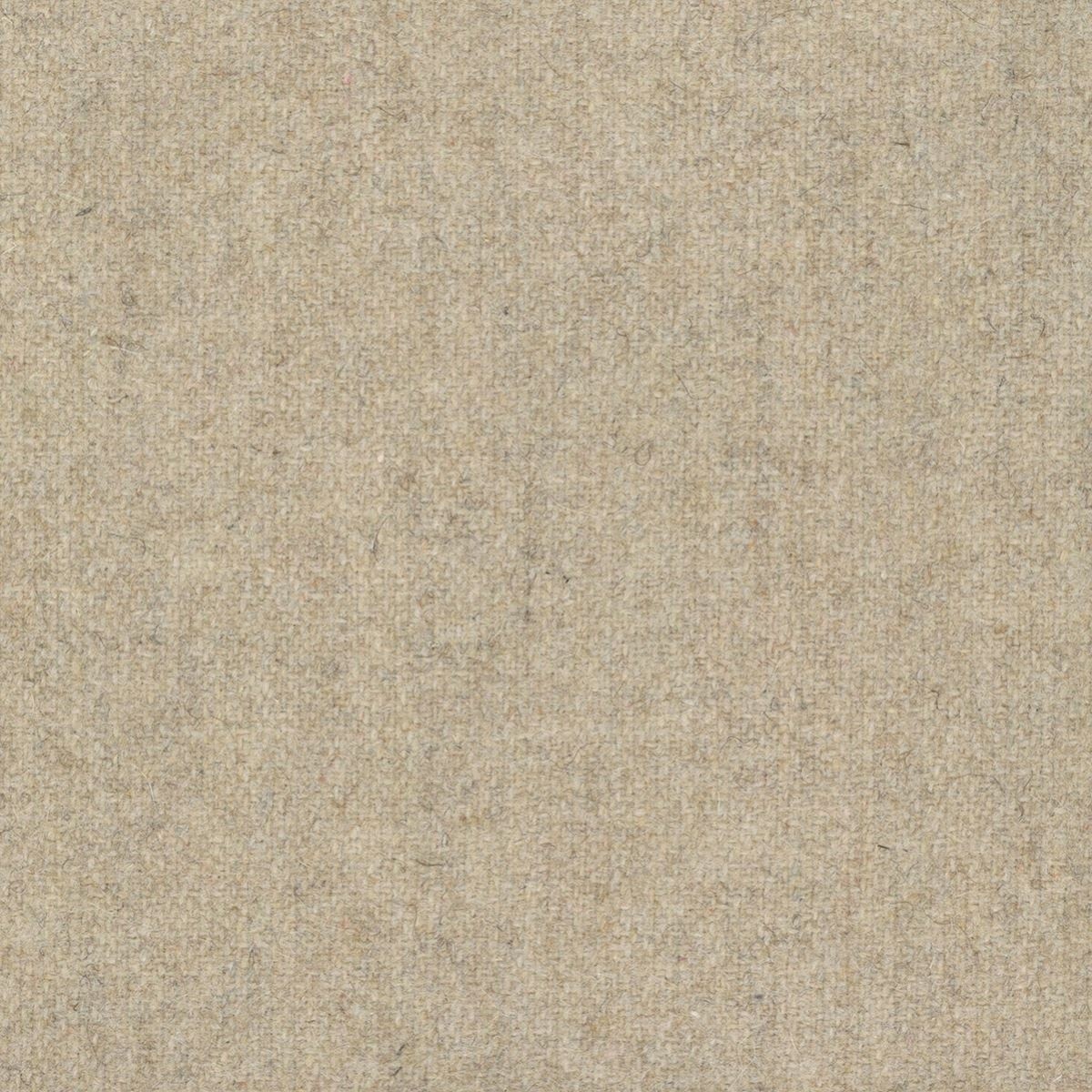 tp1136-003-138.jpg