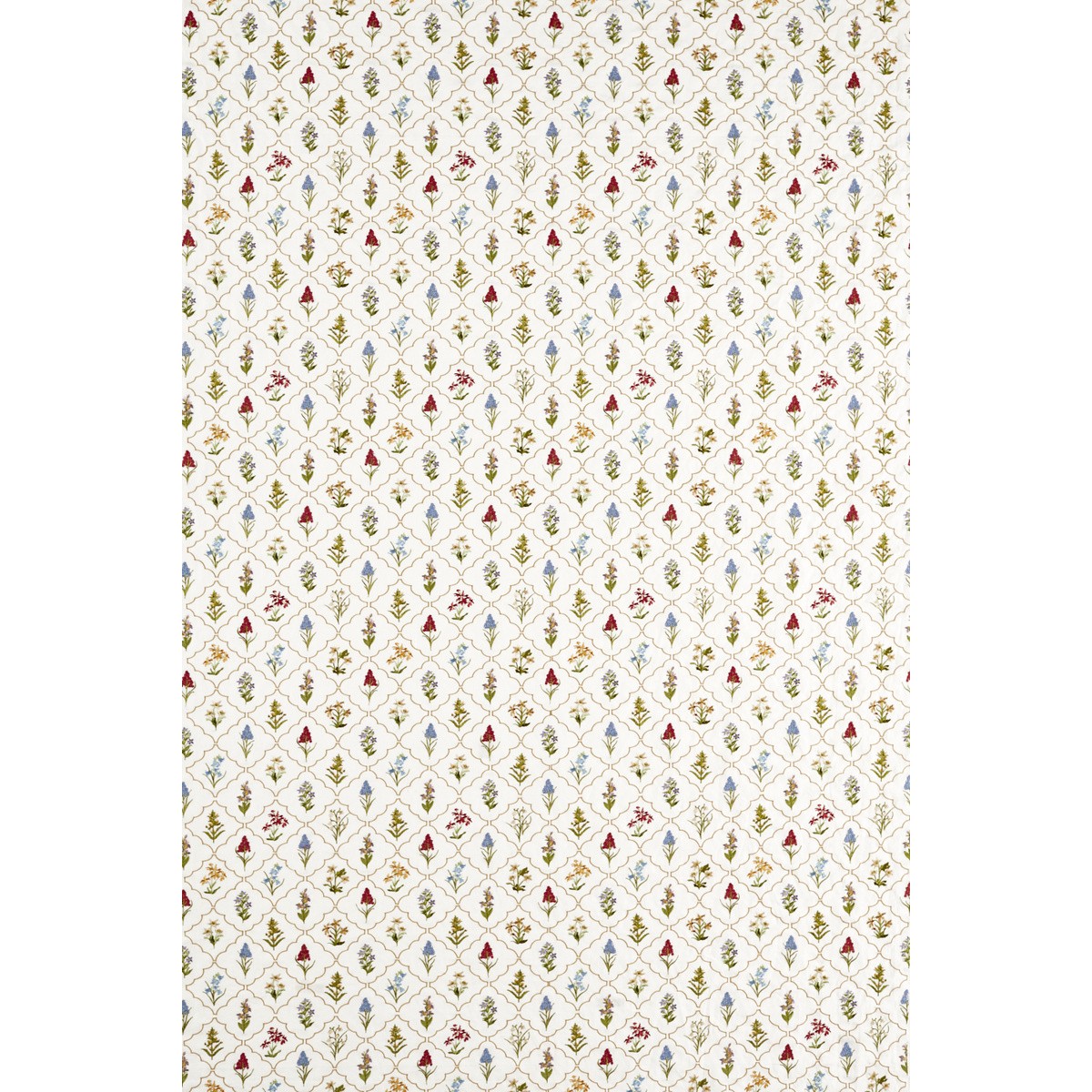 ts8264-099-141.jpg