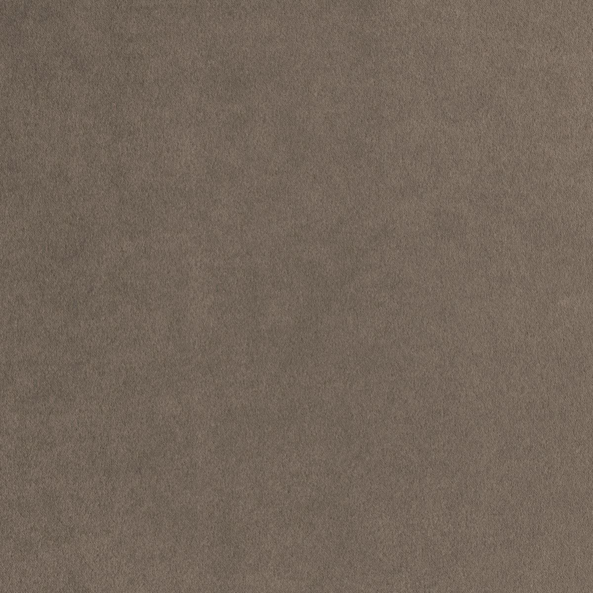 tp1465-070-138.jpg