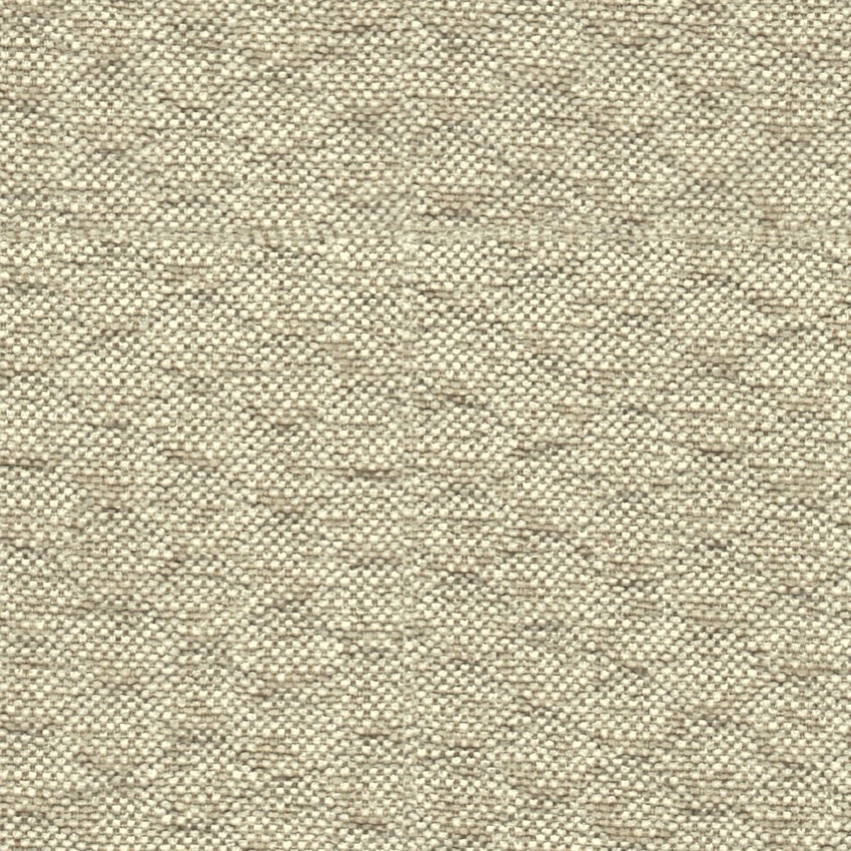 tp1419-003-141.jpg