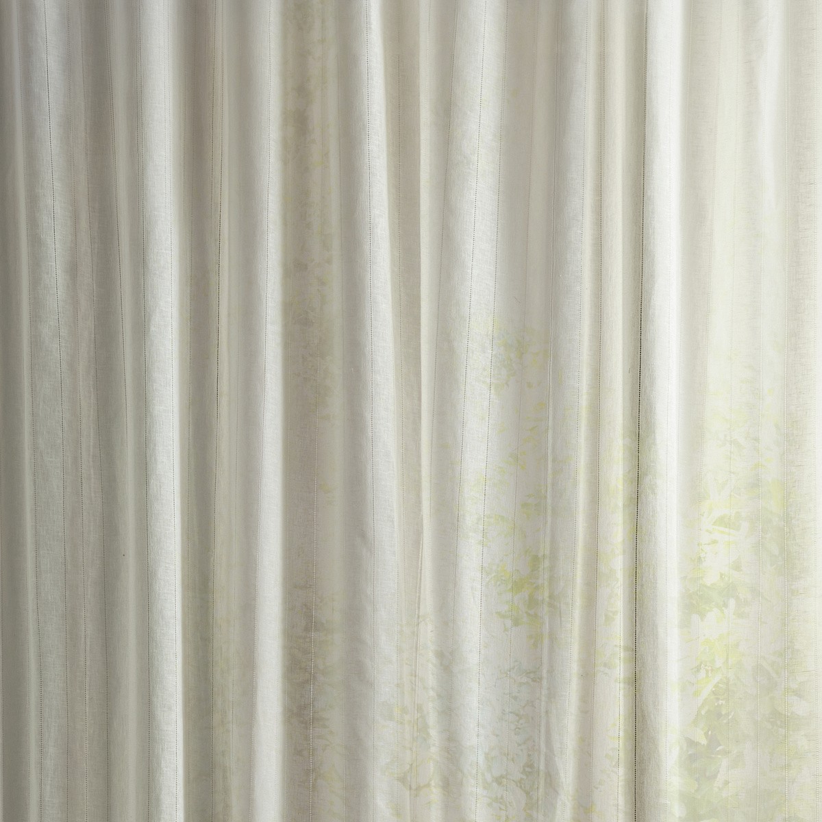 ts8228-099-290.jpg