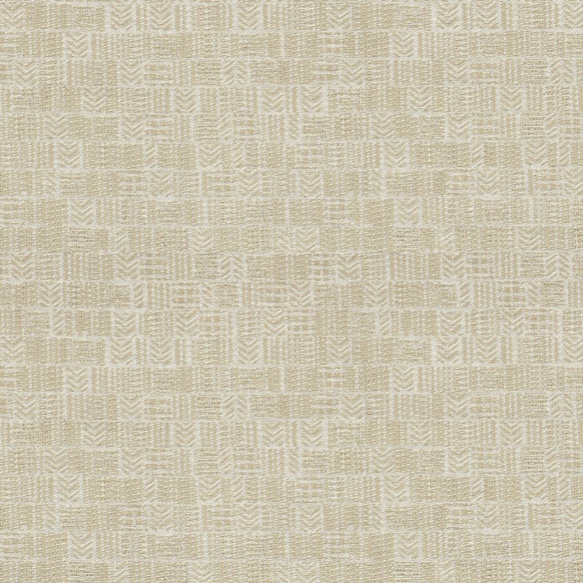 tr8201-002-140.jpg