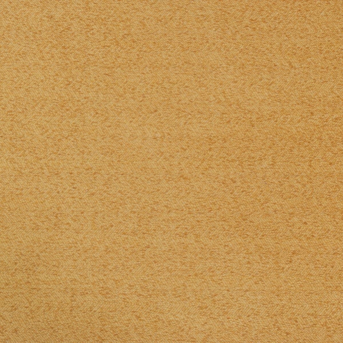 tp1239-005-140.jpg