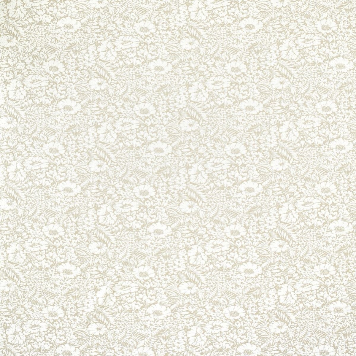 tr9247-099-139.jpg