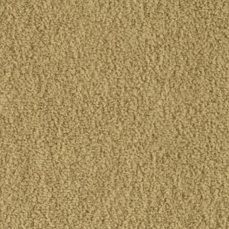 tp1502-005-138.jpg