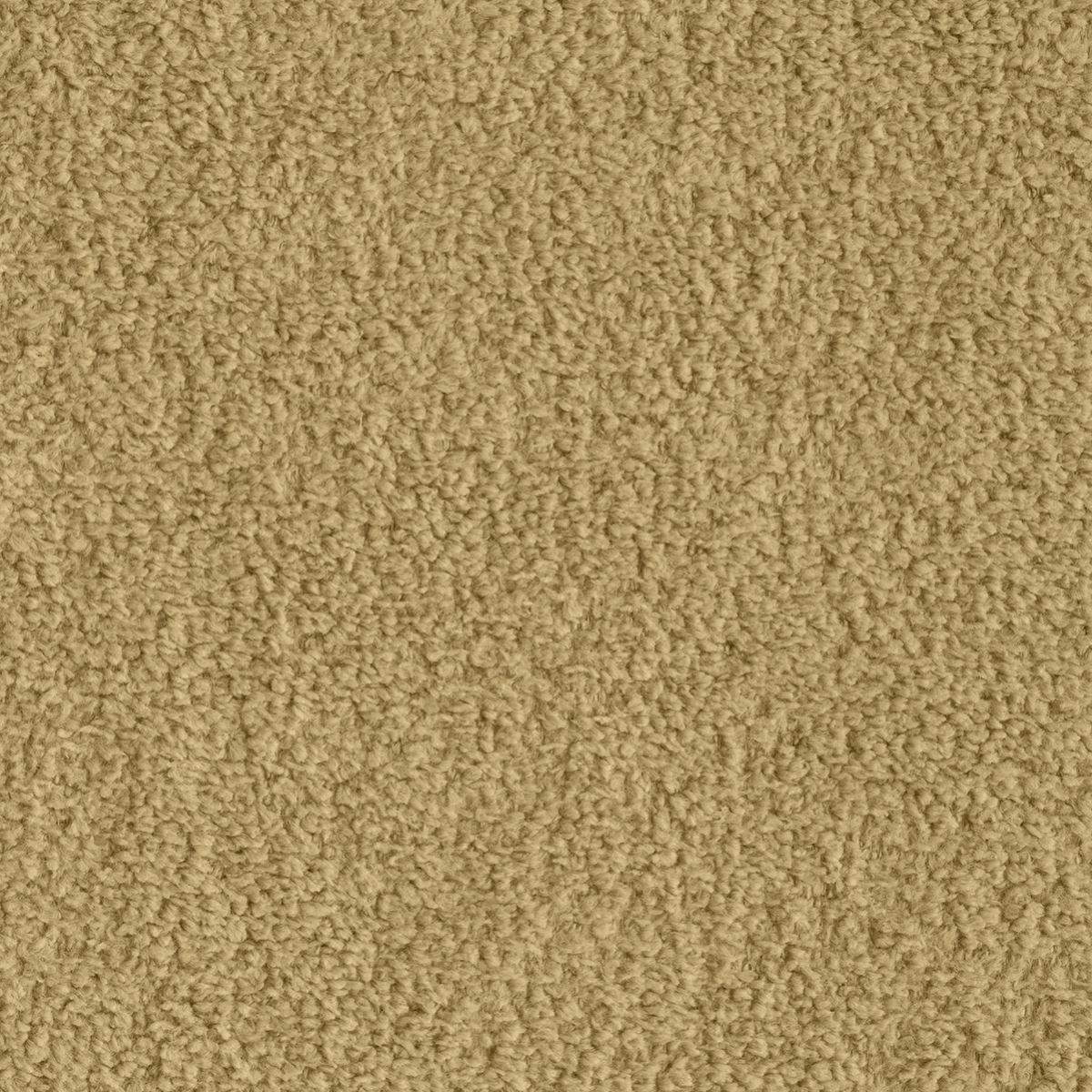 tp1502-005-138.jpg