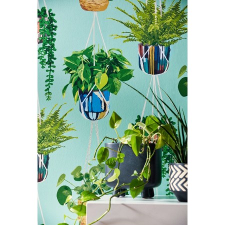 gancedo-papel-pintado-macetas-plantas.jpg