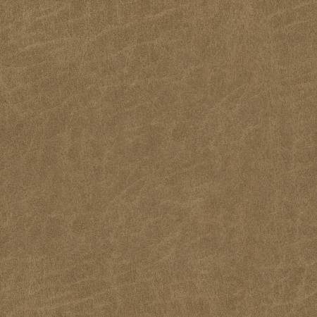 tp1125-030-138.jpg