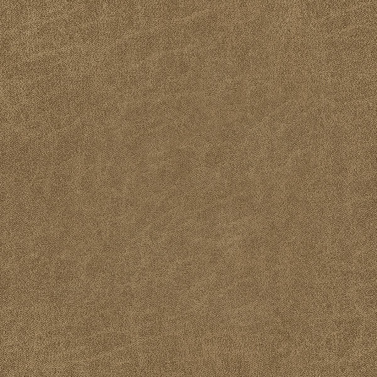 tp1125-030-138.jpg