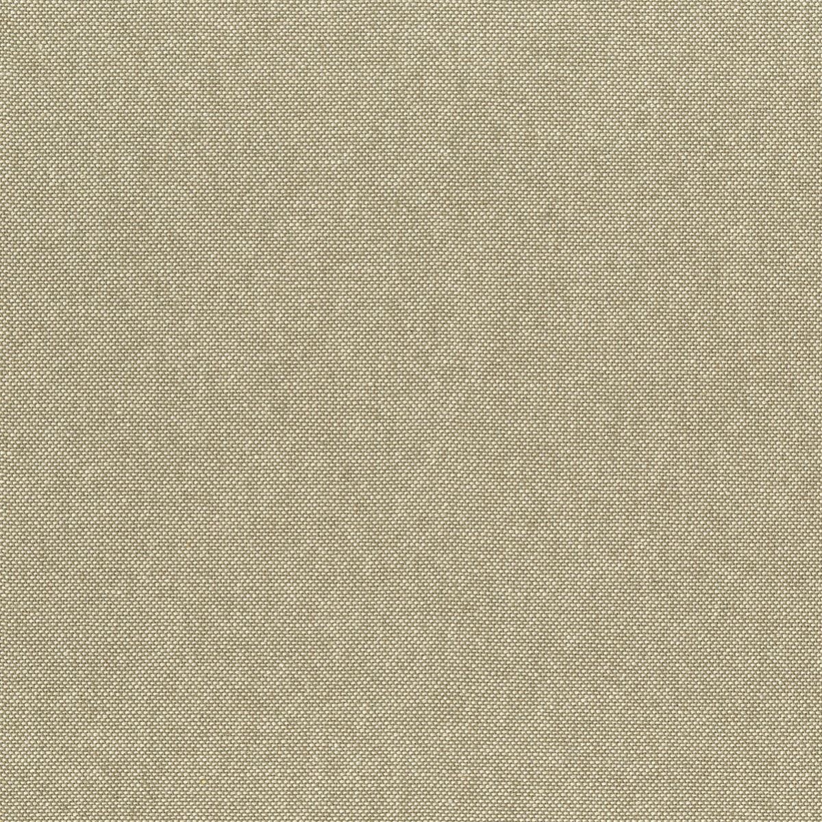 tp1498-003-145.jpg