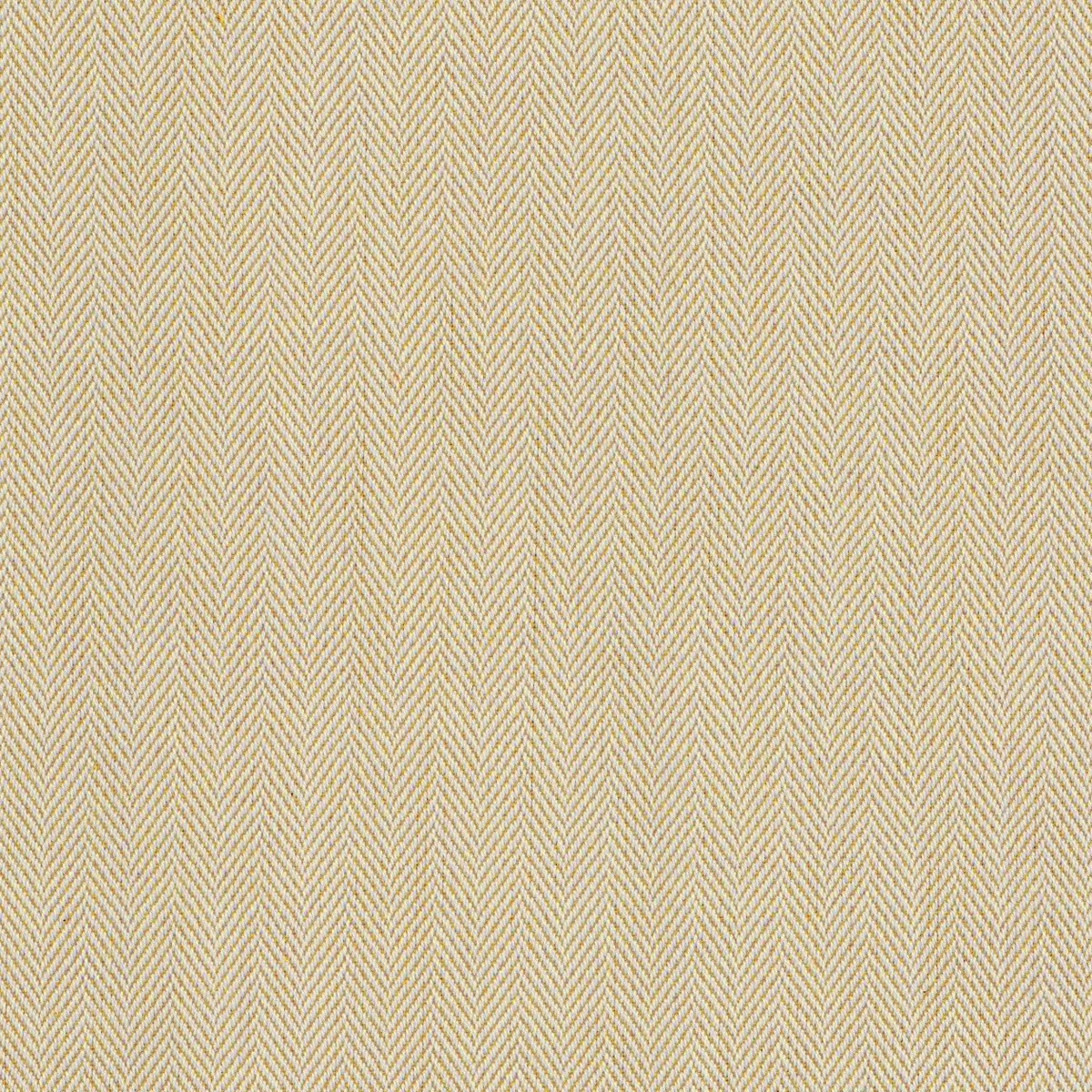 ts7554-010-137_b.jpg