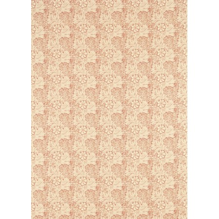 ts6440-002-138.jpg