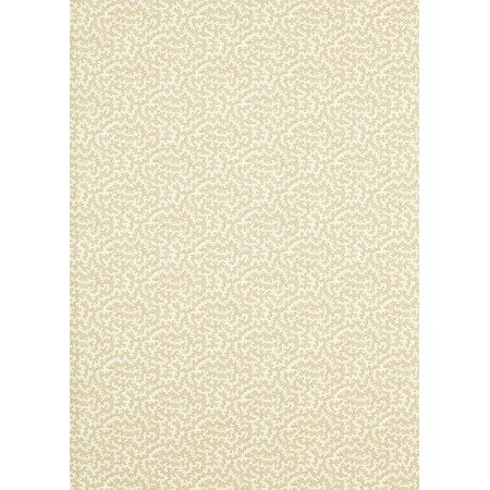 ts7456-003-138.jpg