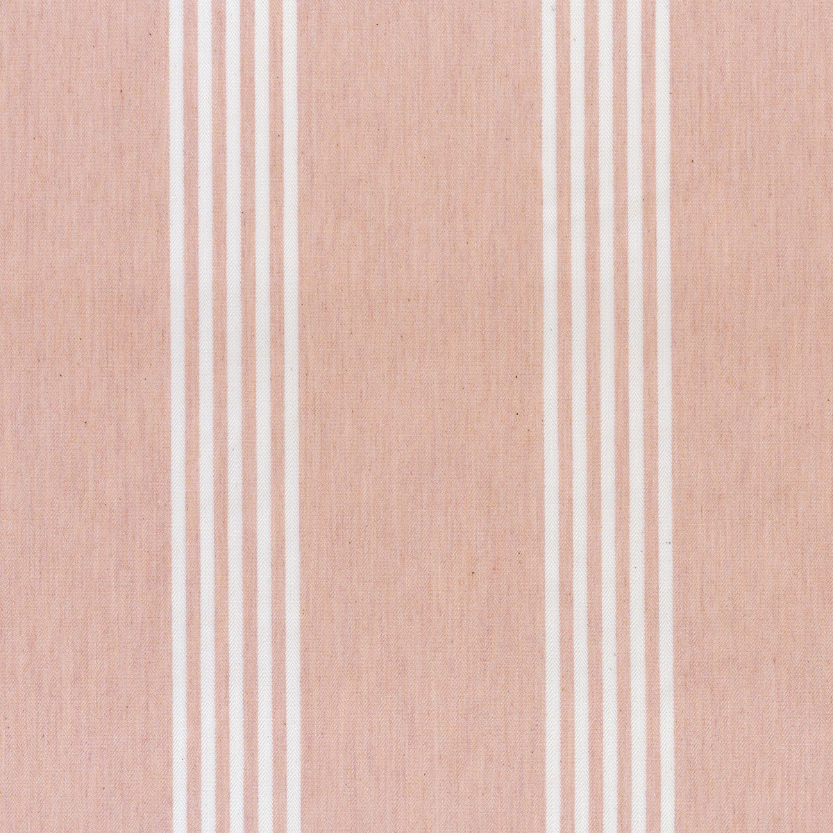 ts7556-099-137.jpg